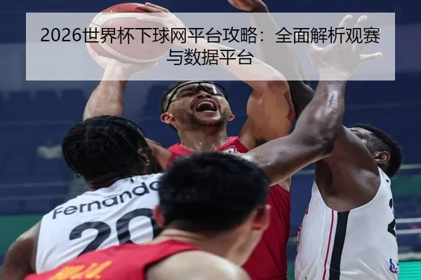 2026世界杯下球网平台攻略：全面解析观赛与数据平台
